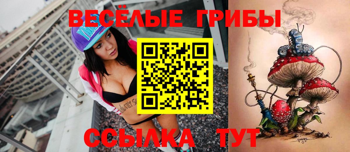 Камышлов  Псилоцибиновые грибы MAGIC MUSHROOMS  Вход с VPN 